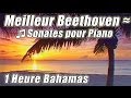 MUSIQUE classique pour l'étude des meilleures BEETHOVEN sonates Piano étude instrumentale chansons