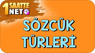 Sözcük Türleri 1 Saatte 1 Net