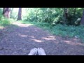 POV