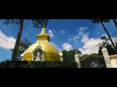 Du lịch Đà Lạt | Cẩm nang du lịch | Flynow.vn | Da lat is awesome