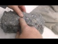Ballistics Test - Winchester PDX 1 .22 Magnum - Wet Pack and 4 layers of denim - Penetration Test