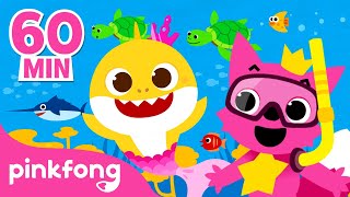 Dia Mundial Dos Oceanos Bebê Tubarão Compilação Pinkfong Canções Para Crianças