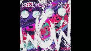 Watch Breezey Montana Wow feat Yanix video