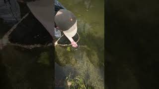 Grayling Season Is Around The Corner Whats Your Favorite Grayling Fly?