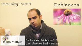 Health Matters London - Immunity part 4: Echinacea