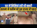 Wasim was raping a goat, then this situation happened! , VK News | Hindi News Update | UP Police