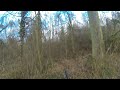 chasse