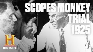Scopes Monkey – Rare Footage of the \