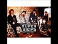 Super Junior - My Only Girl