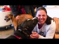 Dog Kissing Contest at Planet Dog