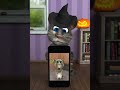 iPhone Apps - Talking Tom Cat