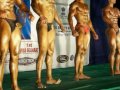 Mr Asfak Rana Achives Mr Gujarat Le For State Bodybuilding images Mr Asfak Rana Achives Mr Gujarat Le For State Bodybuilding