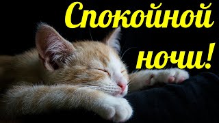 Спокойной Ночи! (Тебе От Меня) Красивое Пожелание Спокойной Ночи. Музыкальная Видео Открытка