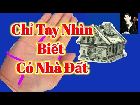🔴 Nhìn Biết Người Có Đất Đai Tài Sản. Xem Chỉ Tay Nhân Tướng Học Nữ