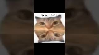 Bababooey And More Bababooey
