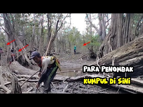 luar biasa..!!!dapat ikan babon semua nombak di sini