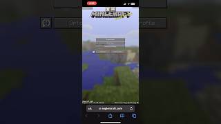 How To Play Eaglercraft On Your Phone