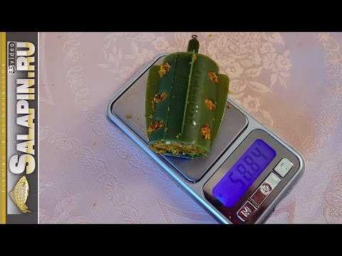 Прикормка на леща осень Прикормка на леща осень