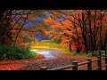 ERNESTO CORTAZAR - Hulló levelek - Autumn Leaves - Álomszép zene...