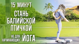 Стань Балийской Птичкой | Йога (15 Минут) | @Yoga_With_Katrin_Ru