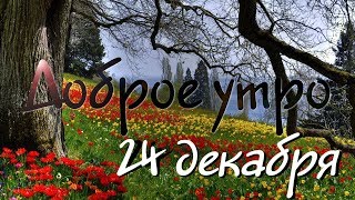 Доброе Утро - Выпуск 28 (24.12.2018)