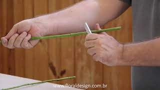 Técnicas de arte floral - Dica rápida 01 - Como cortar uma flor
