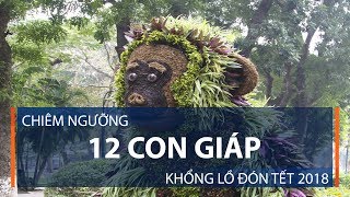 Chiêm Ngưỡng 12 Con Giáp Khổng Lồ Đón Tết 2018 Vtc1