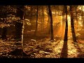 Semmim sem volt nekem - Hajnalcsillag