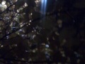 Pictures From A Rainy Nite Walk