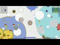 Mopeio NEW RARE MARKHOR BOUNCES ANIMALS TO DEATH TROLLING ANIMALS | Mopeio Funny Trolling