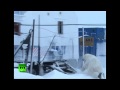 Stubborn polar bear airlifted far away after food raids on oil rig