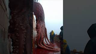 Monstrous Red Tentacle Creature Caught