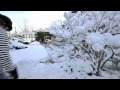 snowday