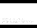 Hamster Ballet