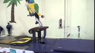 Chloe Bellmore, Twistars Usa L10 Vault 2016 Twistars Invite