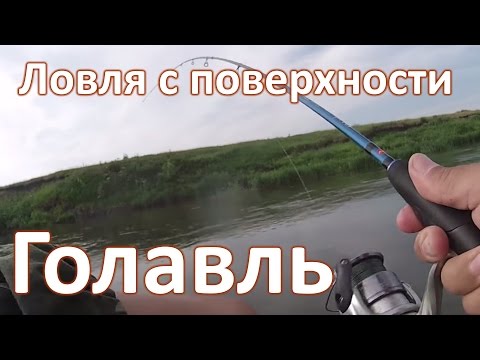 поверхностная ловля голавля поверхностная ловля голавля