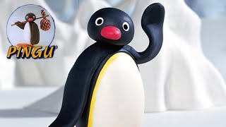 Pingu Episodes Songs Noot Noot Review Review