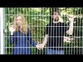 Break-Up: Trailer 1 (Foreword: Tinto Brass)