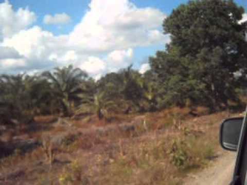 Perjalanan Menuju ke Kab Mesuji Prov. Lampung Pembinaan Bawang...