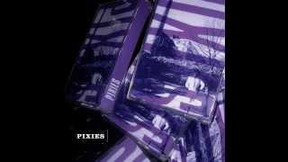 Watch Pixies In Heaven The Lady In The Radiator Song video