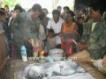 Aneh Nyata Ada Kerbau Melahirkan Anak Manusia images Aneh Nyata Ada Kerbau Melahirkan Anak Manusia