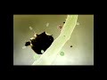 Botanica - Gameplay - First steps