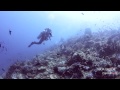 Dive Isla Verde via Ilijan Batangas (ICDF)