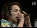 Rage Against The Machine-Killing In The Name(Less Angry Version)