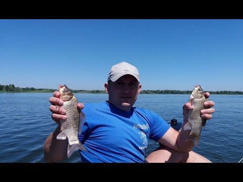 ловля карося видео ловля карося видео