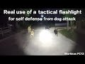Wurkkos FC12 - Real use of tactical flashlight for self defense from dog attack!
