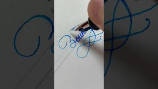 Flex Nib Fountain Pen