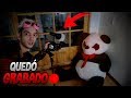ESTE OSO DE PELUCHE TIENE UN DEMONIO ADENTRO!! - Yolo Aventur...
