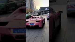 Pink Color Luxury Citylife