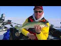 Ice Fishing Walleye Lures